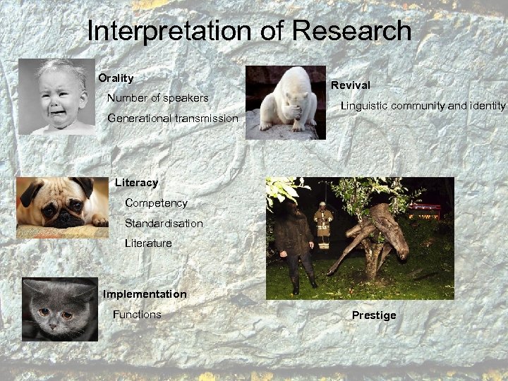 Interpretation of Research Orality Number of speakers Revival Linguistic community and identity Generational transmission