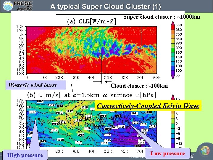 A typical Super Cloud Cluster (1) Super cloud cluster : ~1000 km Westerly wind