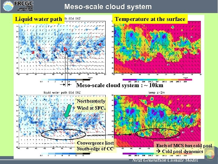 Meso-scale cloud system Liquid water path a Temperature at the surface b c Meso-scale