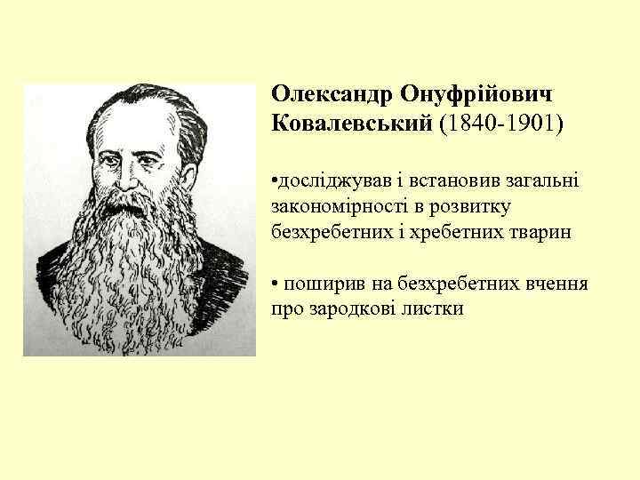 Олександр Онуфрійович Ковалевський (1840 -1901) • досліджував і встановив загальні закономірності в розвитку безхребетних