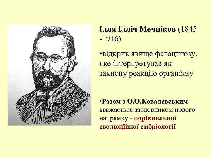 Ілля Ілліч Мечніков (1845 -1916) • відкрив явище фагоцитозу, яке інтерпретував як захисну реакцію