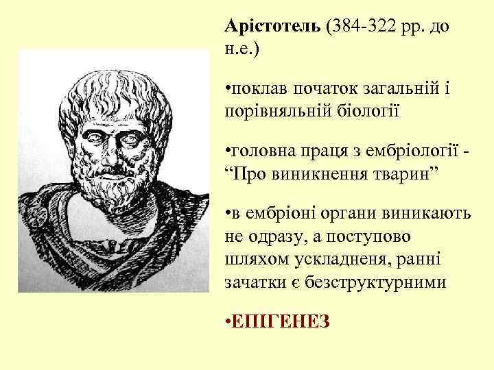 Арістотель (384 -322 рр. до н. е. ) • поклав початок загальній і порівняльній