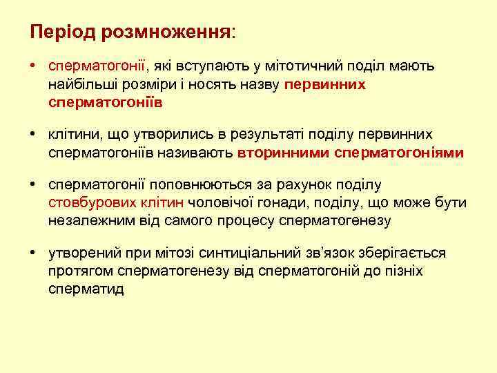 Період розмноження: • сперматогонії, які вступають у мітотичний поділ мають найбільші розміри і носять