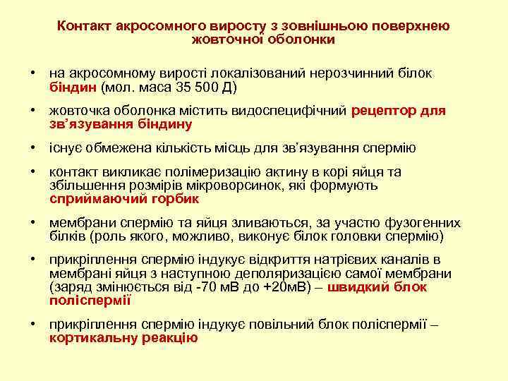 Контакт акросомного виросту з зовнішньою поверхнею жовточної оболонки • на акросомному вирості локалізований нерозчинний