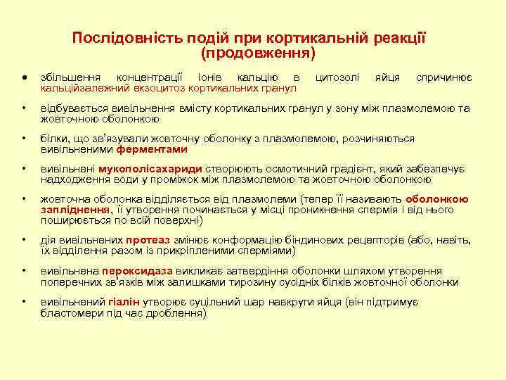 Послідовність подій при кортикальній реакції (продовження) збільшення концентрації іонів кальцію в кальційзалежний екзоцитоз кортикальних