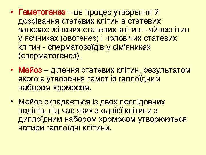  • Гаметогенез – це процес утворення й дозрівання статевих клітин в статевих залозах: