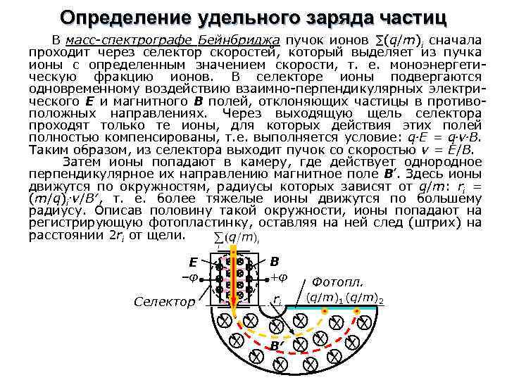 Определение удельного заряда частиц В масс-спектрографе Бейнбриджа пучок ионов ∑(q/m)i сначала проходит через селектор