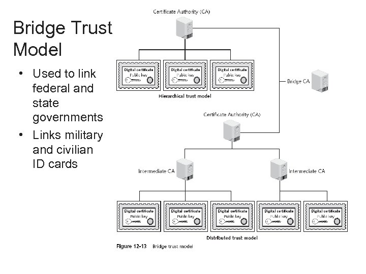 Bridge Trust Model • Used to link federal and state governments • Links military