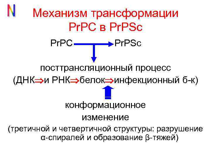 Механизм трансформации Pr. PC в Pr. PSc Pr. PC Pr. PSc посттрансляционный процесс (ДНК