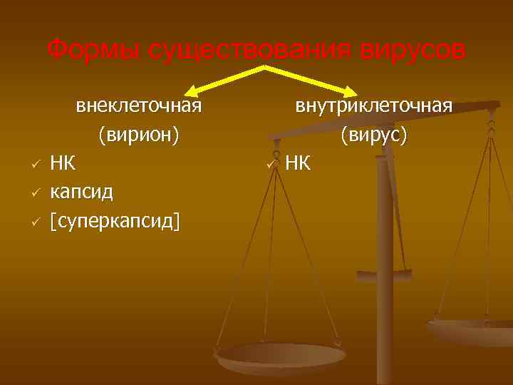 Формы существования вирусов ü ü ü внеклеточная (вирион) НК капсид [суперкапсид] ü внутриклеточная (вирус)