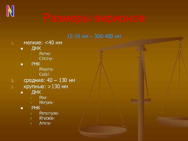 Размеры вирионов мелкие: <40 нм 1. n ДНК n n n 15 -18 нм