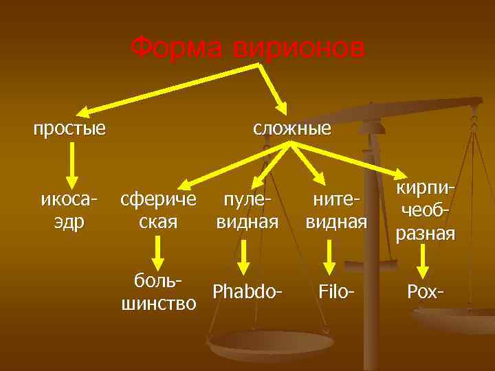 Форма вирионов простые икосаэдр сложные сфериче пулеская видная нитевидная кирпичеобразная боль. Phabdoшинство Filo- Pox-
