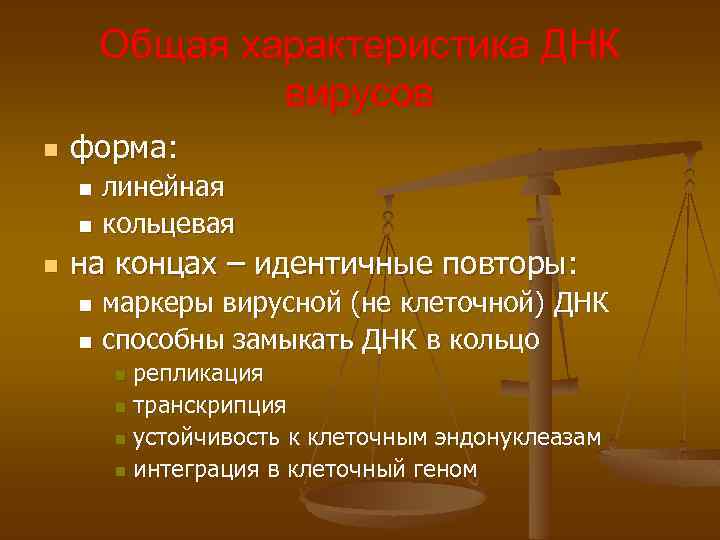 Общая характеристика ДНК вирусов n форма: линейная n кольцевая n n на концах –