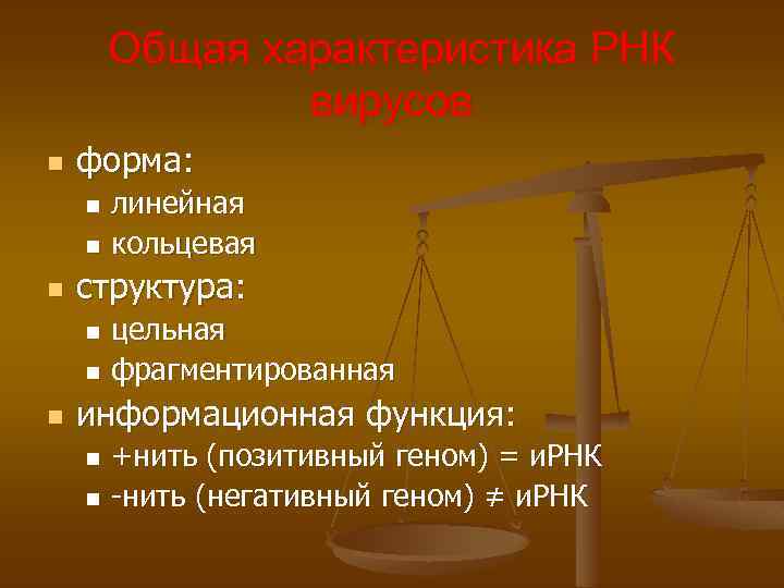 Общая характеристика РНК вирусов n форма: линейная n кольцевая n n структура: цельная n