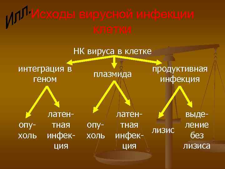 Исходы вирусной инфекции клетки НК вируса в клетке интеграция в геном опухоль латентная инфекция