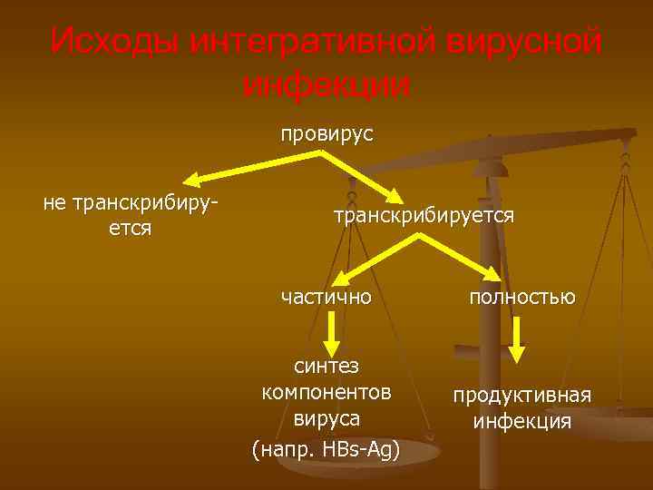 Исходы интегративной вирусной инфекции провирус не транскрибируется частично полностью синтез компонентов вируса (напр. HBs-Ag)
