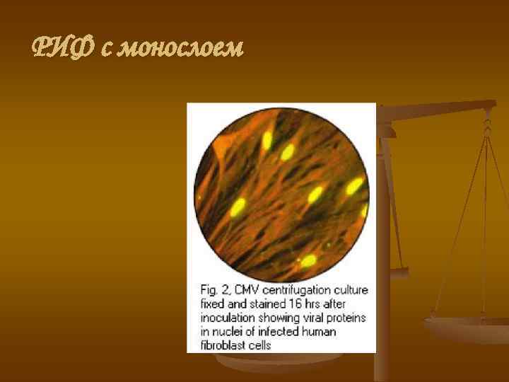 РИФ с монослоем 