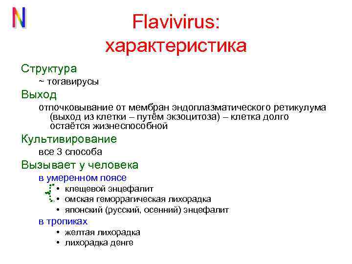 Flavivirus: характеристика Структура ~ тогавирусы Выход отпочковывание от мембран эндоплазматического ретикулума (выход из клетки