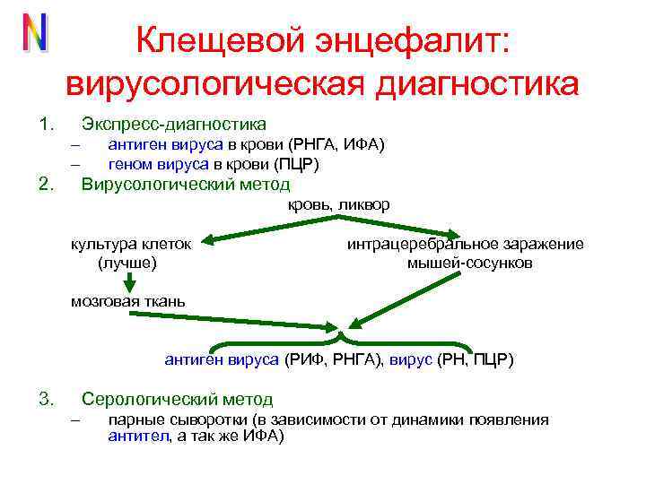 Клещевой энцефалит: вирусологическая диагностика 1. Экспресс-диагностика – – 2. антиген вируса в крови (РНГА,