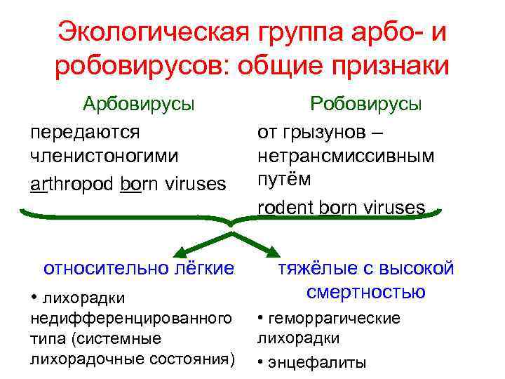 Экологическая группа арбо- и робовирусов: общие признаки Арбовирусы передаются членистоногими arthropod born viruses относительно