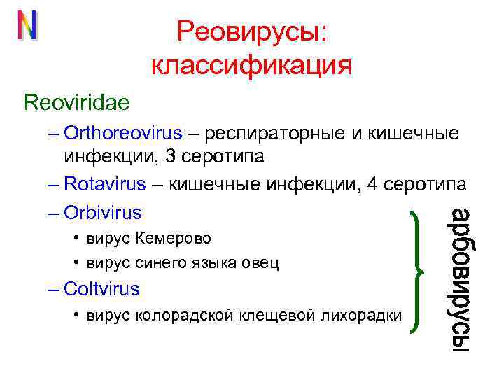 Реовирусы: классификация Reoviridae – Orthoreovirus – респираторные и кишечные инфекции, 3 серотипа – Rotavirus