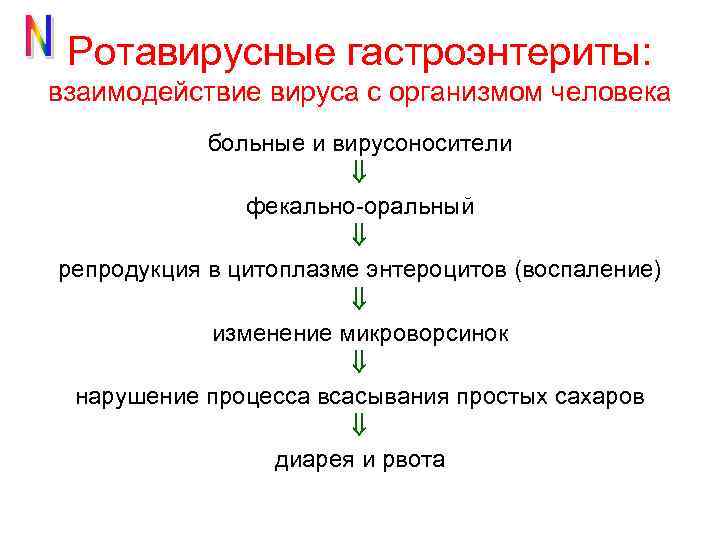 Ротавирусные гастроэнтериты: взаимодействие вируса с организмом человека больные и вирусоносители фекально-оральный репродукция в цитоплазме