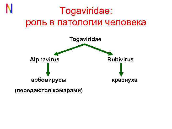 Тогавирусы вирус краснухи презентация