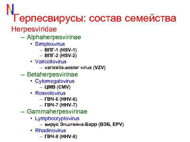 Герпесвирусы: состав семейства Herpesviridae – Alphaherpesvirinae • Simplexvirus – ВПГ-1 (HSV-1) – ВПГ-2 (HSV-2)