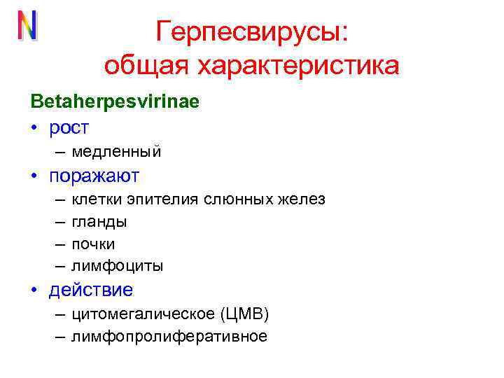Герпесвирусы: общая характеристика Betaherpesvirinae • рост – медленный • поражают – – клетки эпителия