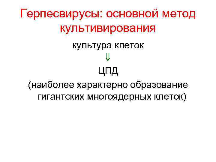 Герпесвирусы: основной метод культивирования культура клеток ЦПД (наиболее характерно образование гигантских многоядерных клеток) 