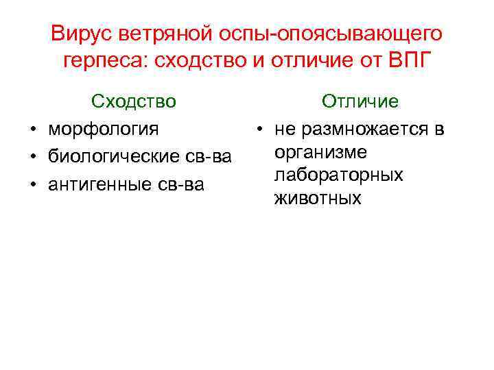 Вирус ветряной оспы-опоясывающего герпеса: сходство и отличие от ВПГ Сходство • морфология • биологические