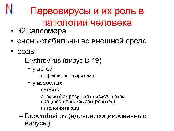 Парвовирусы и их роль в патологии человека • 32 капсомера • очень стабильны во