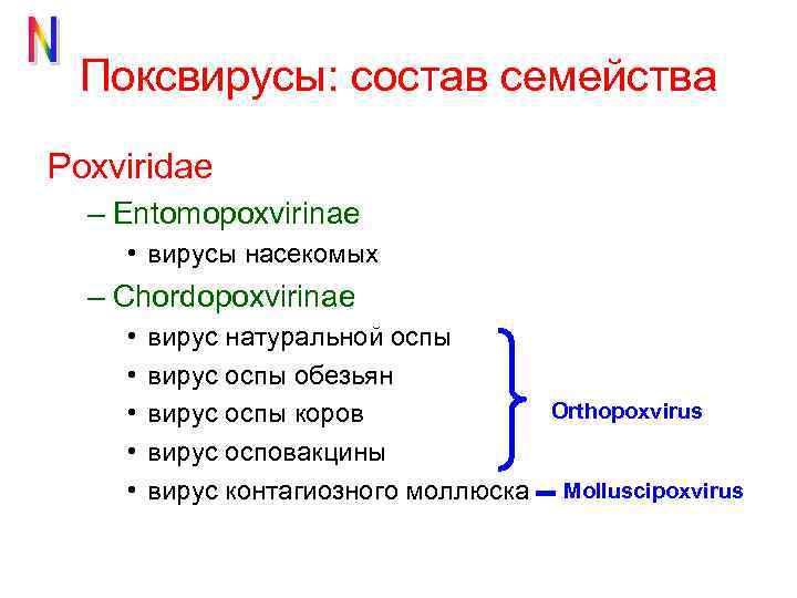 Поксвирусы: состав семейства Poxviridae – Entomopoxvirinae • вирусы насекомых – Chordopoxvirinae • • •