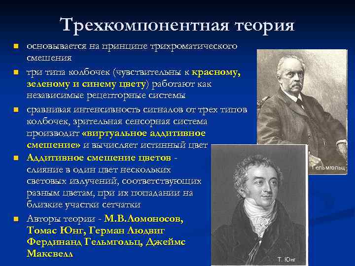 Трехкомпонентная теория n n n основывается на принципе трихроматического смешения три типа колбочек (чувствительны