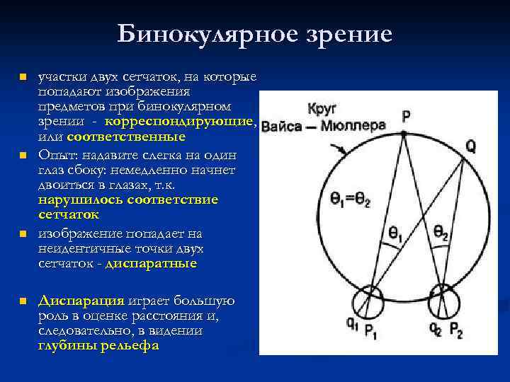 Что такое идентичные и диспаратные точки сетчатки каково их значение в восприятии изображения