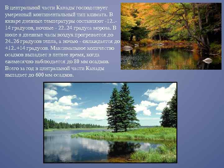 В центральной части Канады господствует умеренный континентальный тип климата. В январе дневные температуры составляют