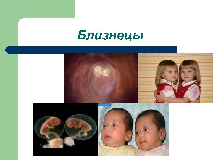 Близнецы 