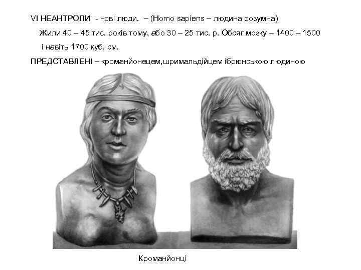 VІ НЕАНТРОПИ - нові люди. – (Homo sapiens – людина розумна) Жили 40 –