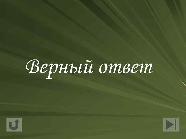 Верный ответ 