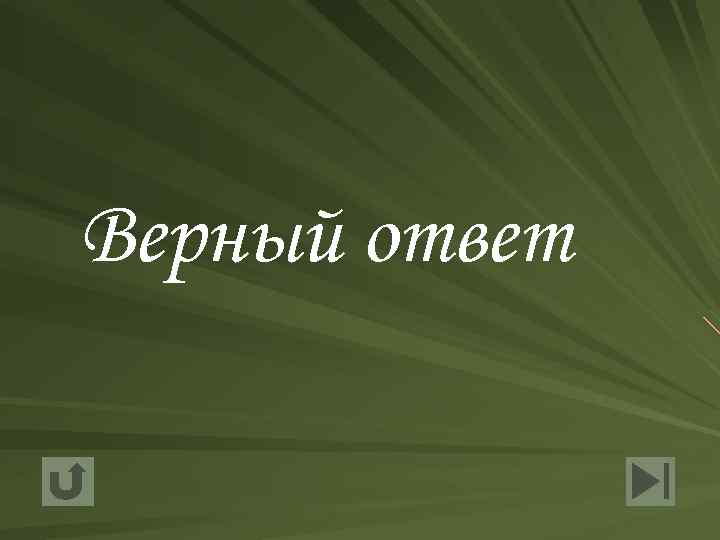 Верный ответ 