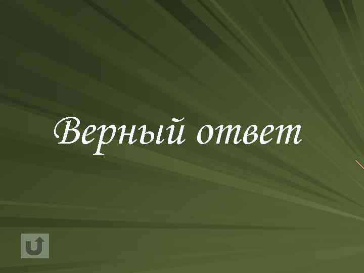 Верный ответ 