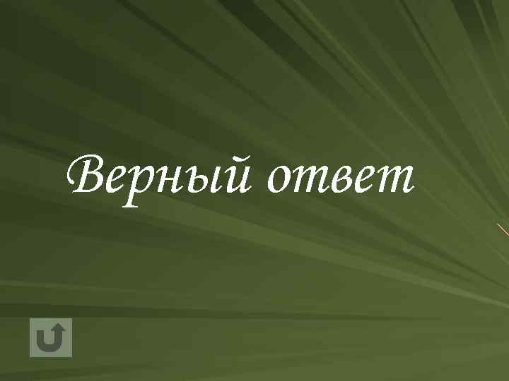 Верный ответ 