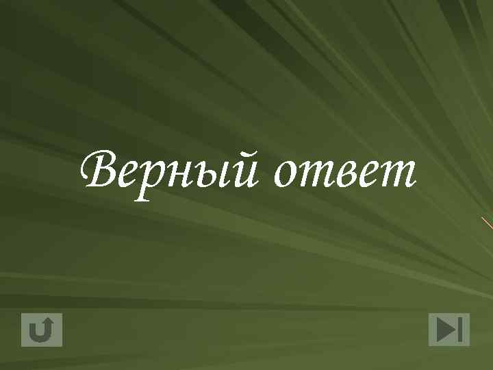 Верный ответ 