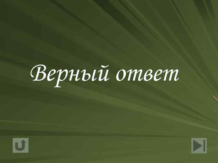 Верный ответ 