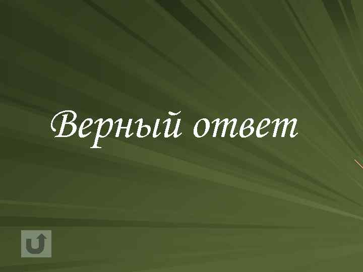 Верный ответ 