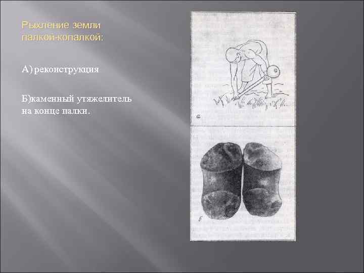 Рыхление земли палкой-копалкой: А) реконструкция Б)каменный утяжелитель на конце палки. 