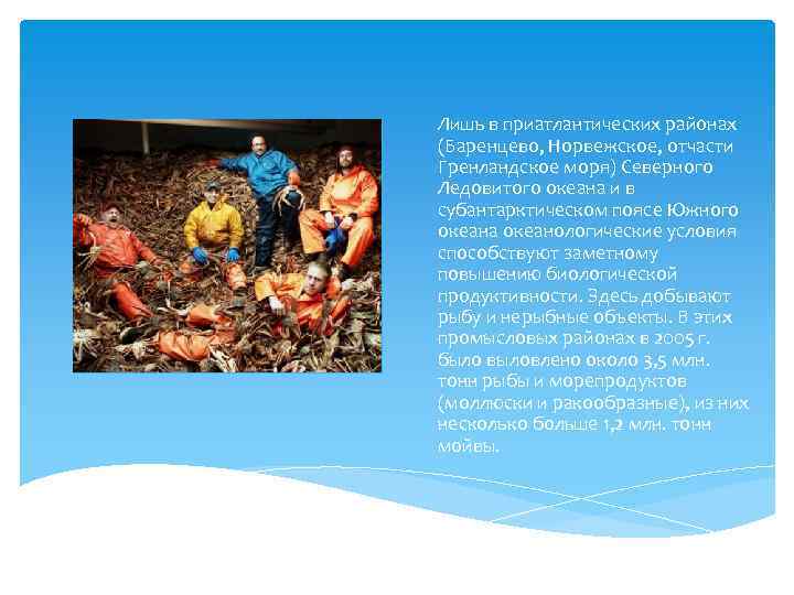 Лишь в приатлантических районах (Баренцево, Норвежское, отчасти Гренландское моря) Северного Ледовитого океана и в