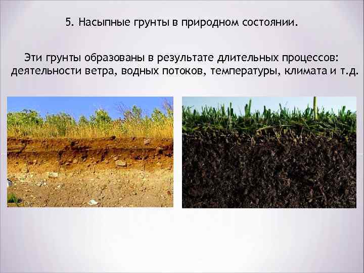 5. Насыпные грунты в природном состоянии. Эти грунты образованы в результате длительных процессов: деятельности