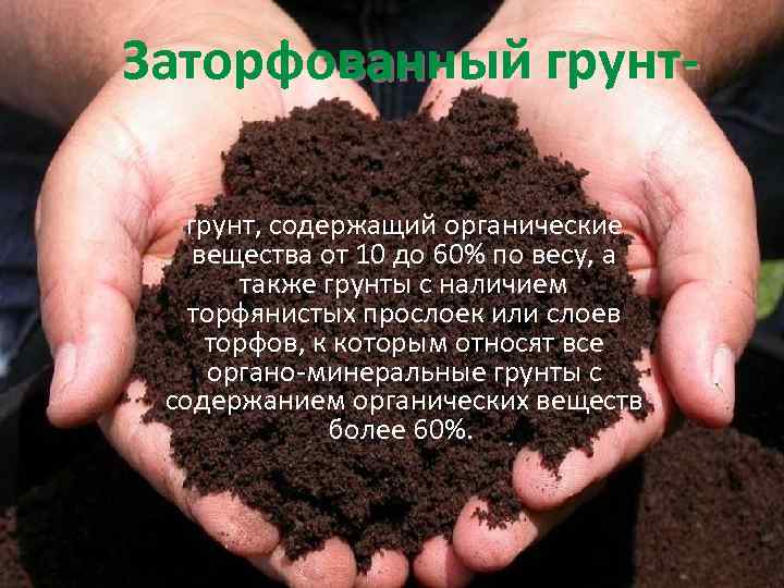 Заторфованный грунт, содержащий органические вещества от 10 до 60% по весу, а также грунты