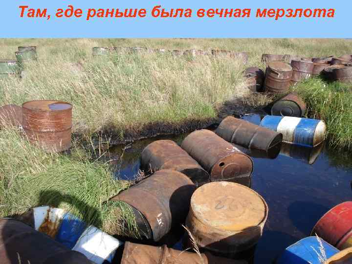 Там, где раньше была вечная мерзлота 8 